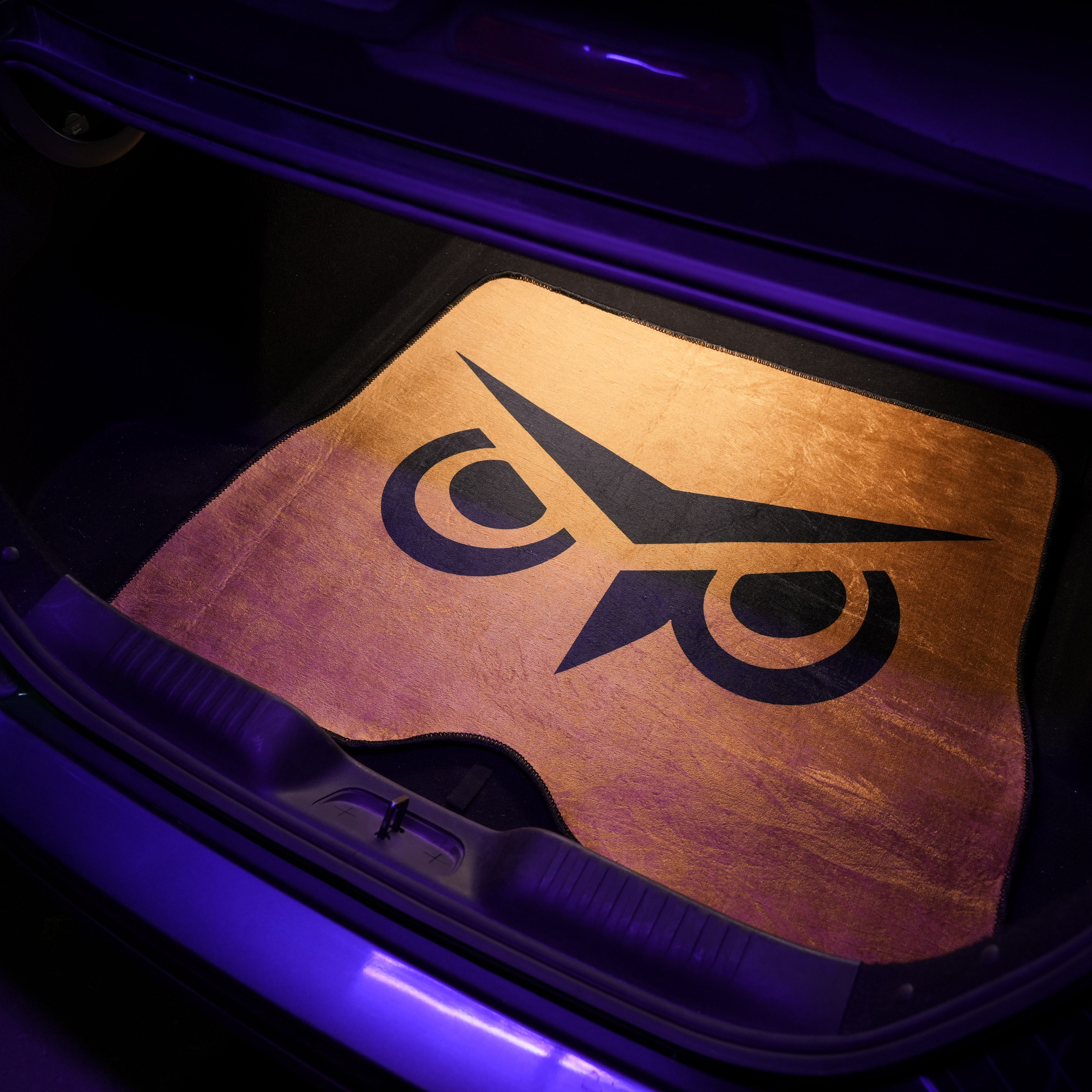 Owl Eyes - Car Boot Mat